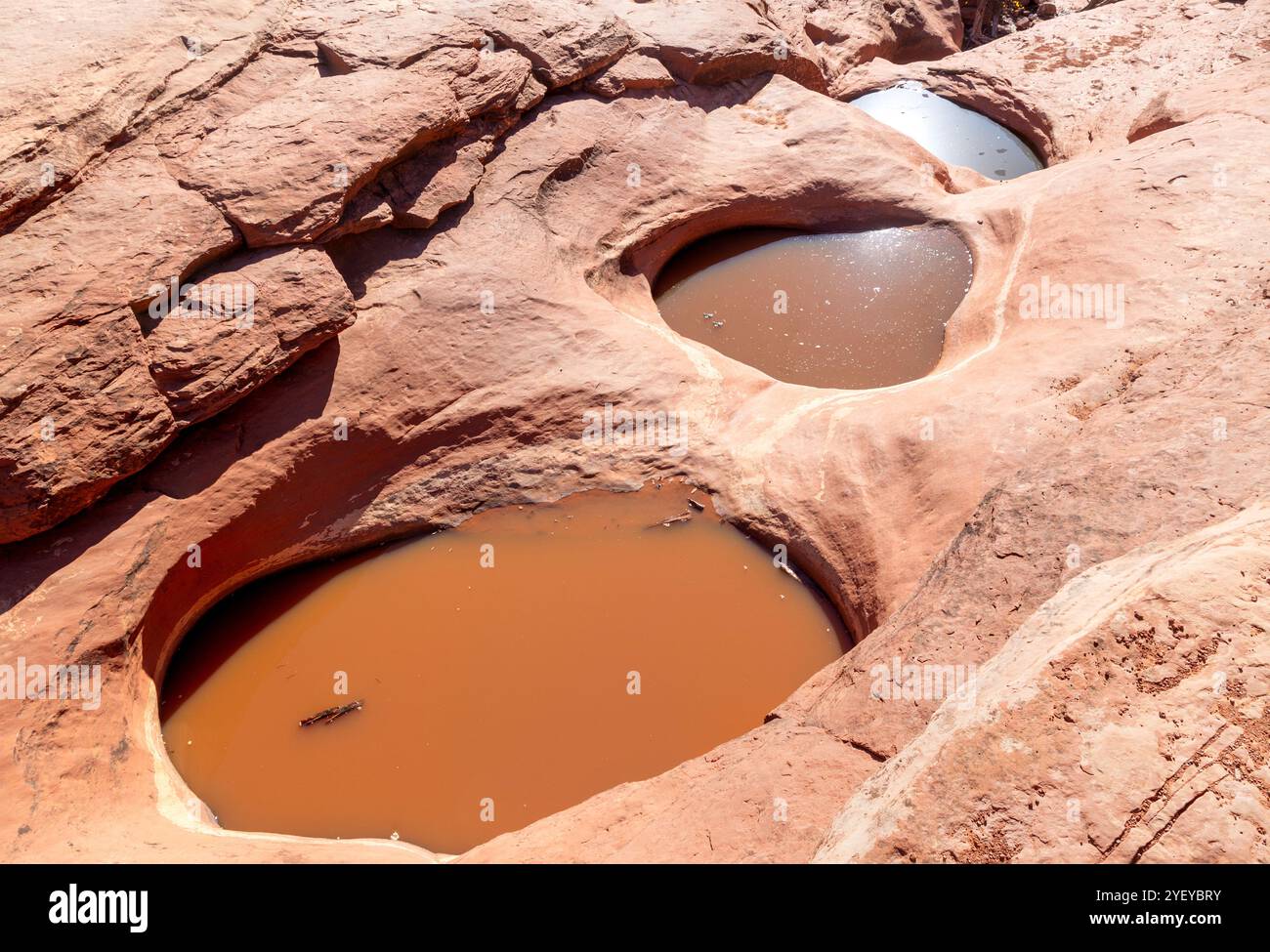 Il Seven Sacred Pools Landscape, un gruppo di fenditure rocciose piene d'acqua sul Soldier Pass Hiking Trail. Sedona, Arizona, USA, Energy Vortex Foto Stock