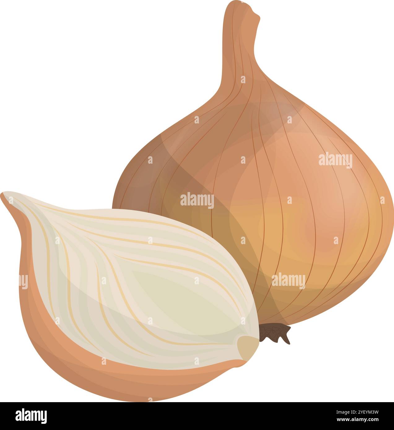 Design vettoriale colorato di cipolla fresca per grafica alimentare Illustrazione Vettoriale