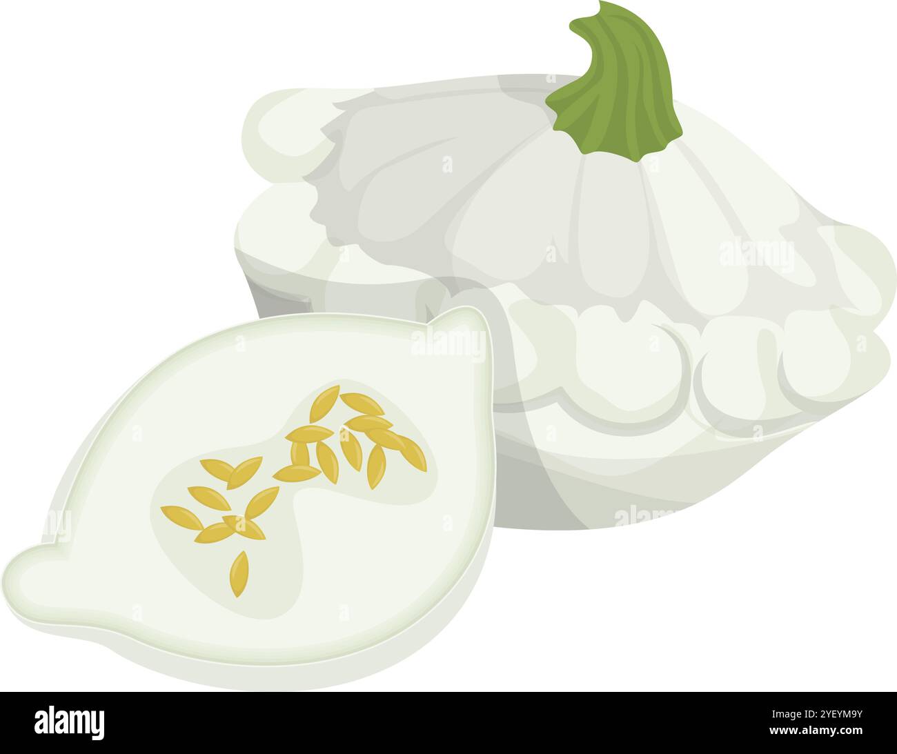 Fumetto vettoriale dettagliato di squash bianco per mangiare sano Illustrazione Vettoriale