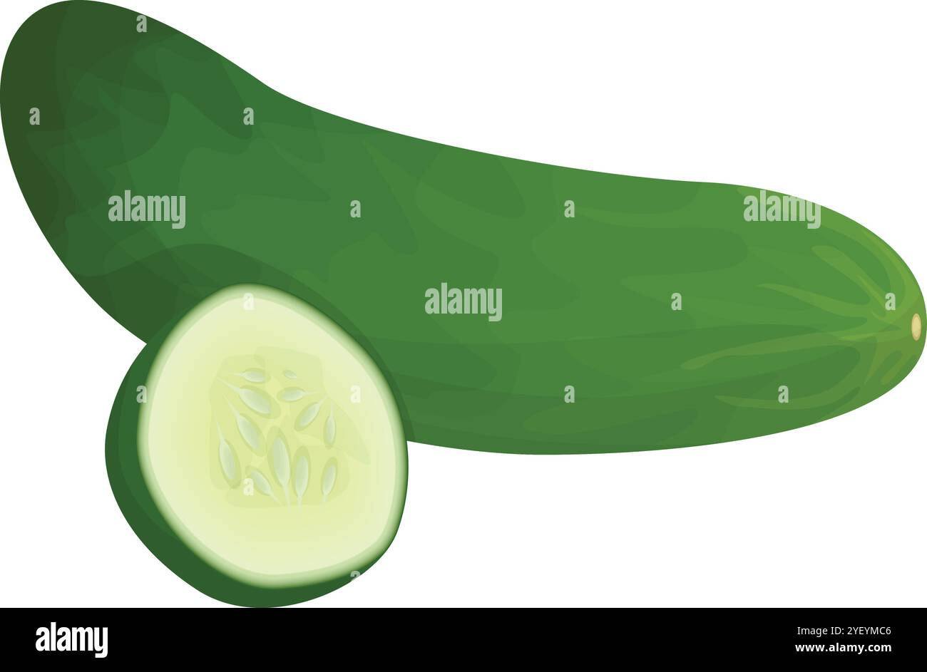 Design vettoriale della frutta del cetriolo per la grafica di cibo sano Illustrazione Vettoriale