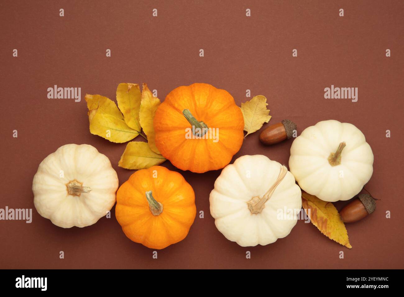 Decorazioni natalizie autunnali con zucche e foglie su sfondo marrone. Vista dall'alto Foto Stock