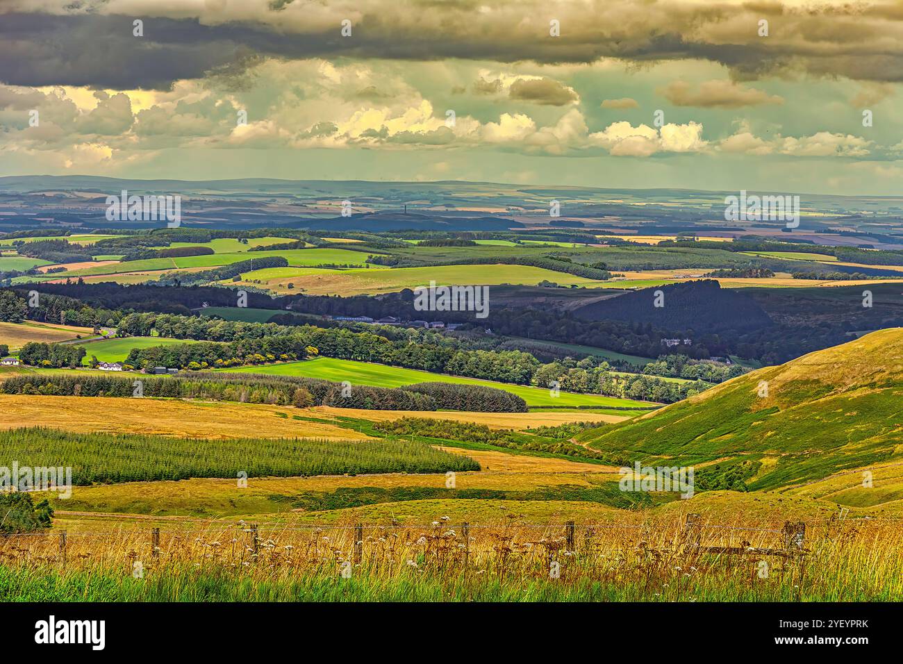 Le verdi colline e gli ampi paesaggi aperti del confine tra Inghilterra e Scozia che guardano verso la Scozia. Scozia, Regno Unito, Europa Foto Stock