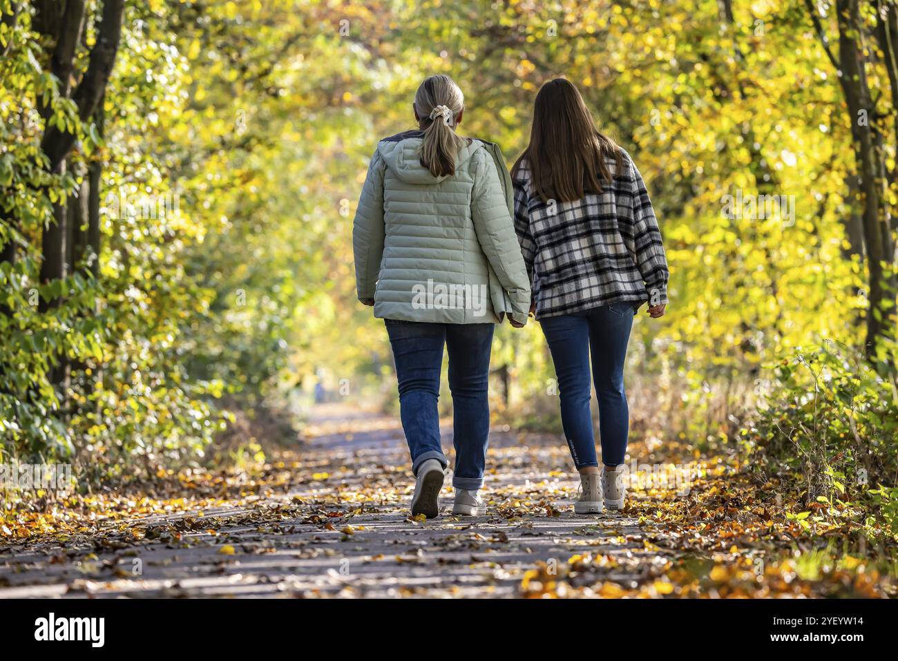 Una passeggiata attraverso una colorata foresta autunnale. Due giovani donne su un percorso circolare sulle rive del Neckar a Stoccarda, Baden-Wuerttemberg, Germania, EUR Foto Stock
