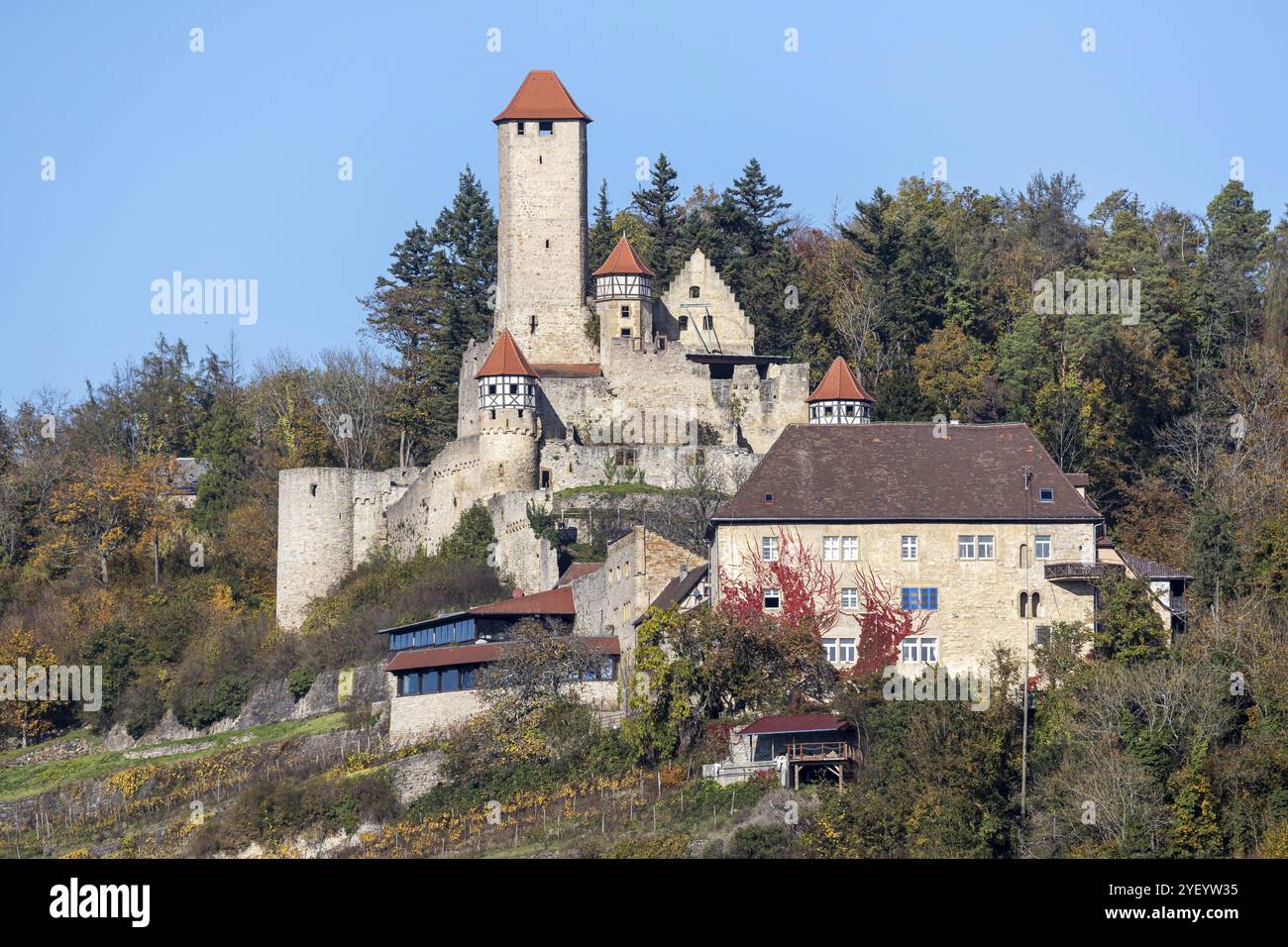 Castello di Hornberg, castello del cavaliere Goetz von Berlichingen. Punto di riferimento di Neckarzimmern e uno dei castelli più grandi e importanti della Necka Foto Stock