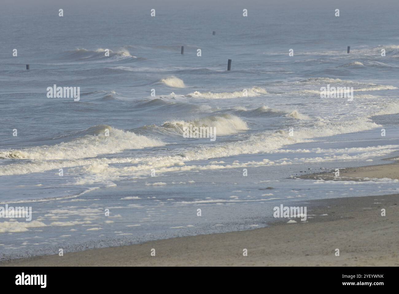 Onde in uscita sulla spiaggia settentrionale, pali di confine, nebbia marina sul Mare del Nord, Norderney, Isole Frisone Orientali, bassa Sassonia, Germania, Europa Foto Stock