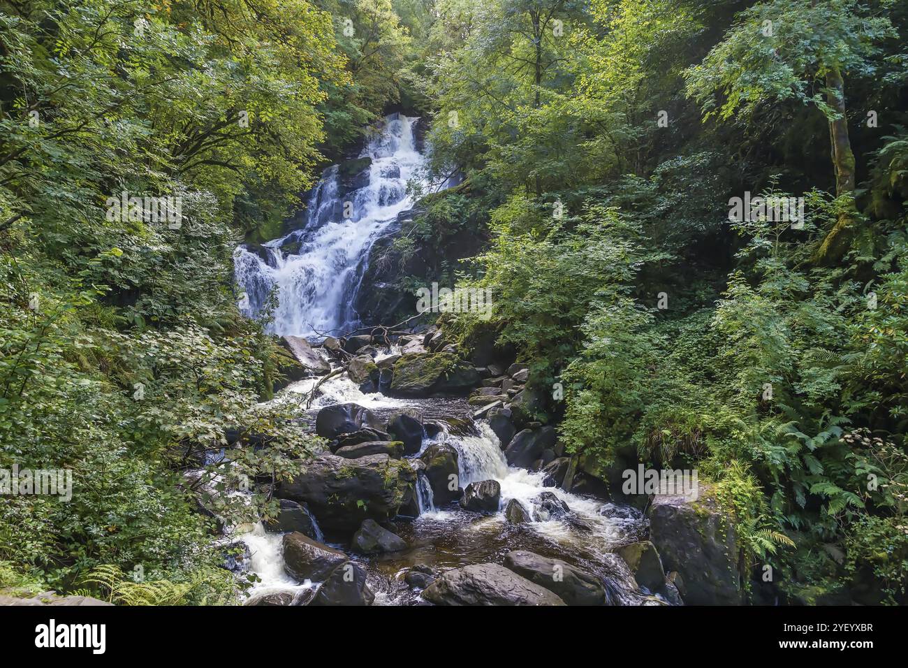 Torc Waterfall è una cascata alta 20 metri e lunga 110 metri nella contea di Kerry, Irlanda, Europa Foto Stock