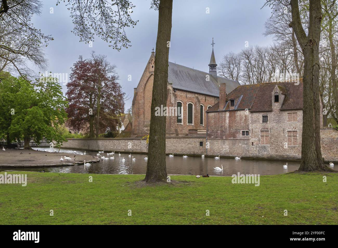 Cigni sul lago dell'amore a Bruges, Belgio, Europa Foto Stock