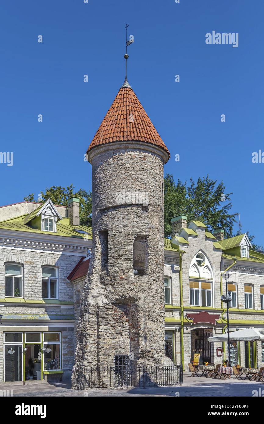 Il barbacane della porta di Viru faceva parte del sistema di difesa delle mura cittadine di Tallinn costruite nel XIV secolo, Estonia, Europa Foto Stock