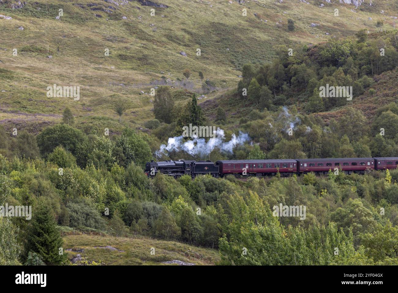 Il treno a vapore giacobita, ferrovia a vapore conosciuta da Harry Potter, Glenfinnan, Highlands, Scozia, Gran Bretagna Foto Stock