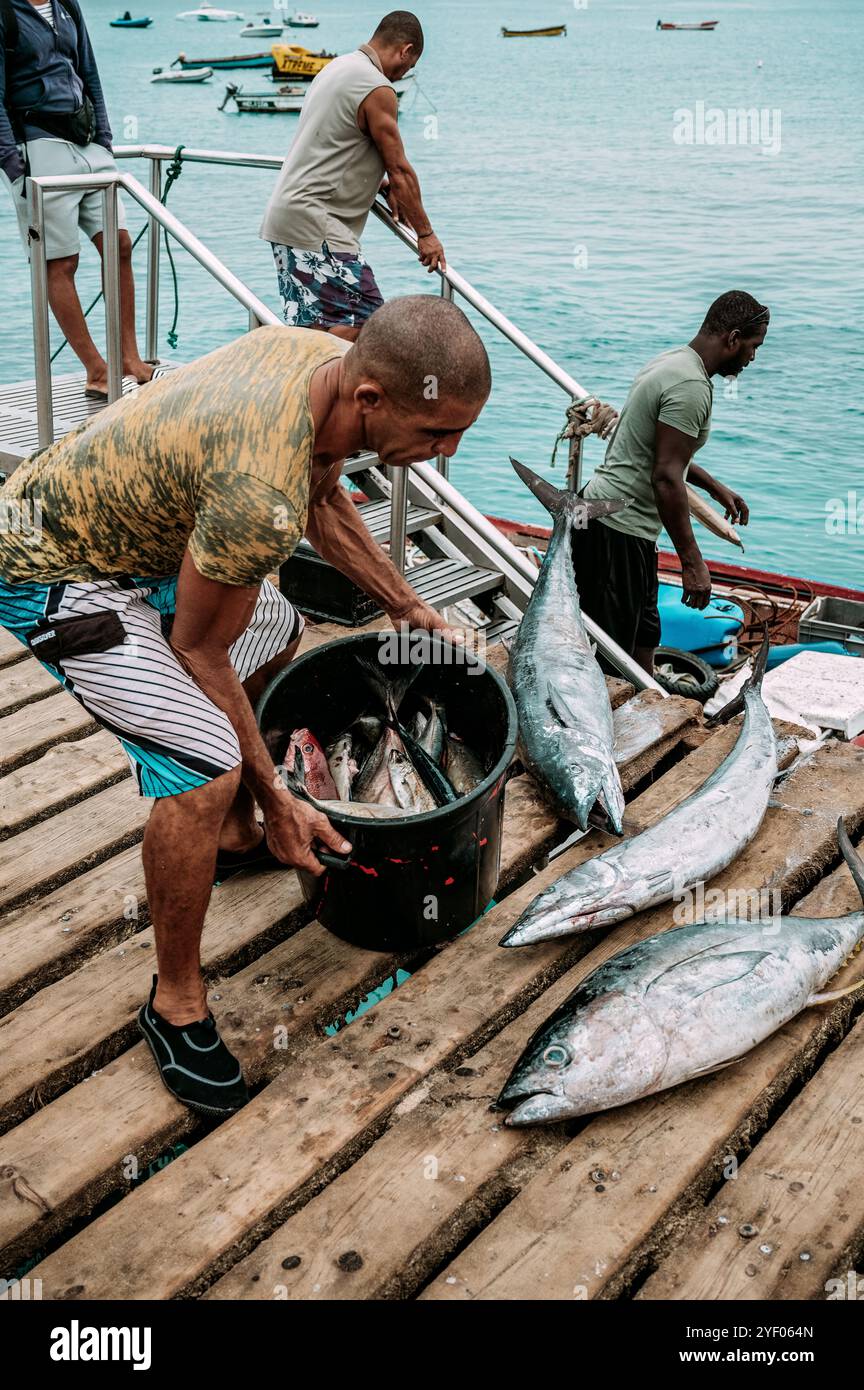 Pescatore e pesce grosso al molo di Santa Maria, Sal, Capo Verde Foto Stock