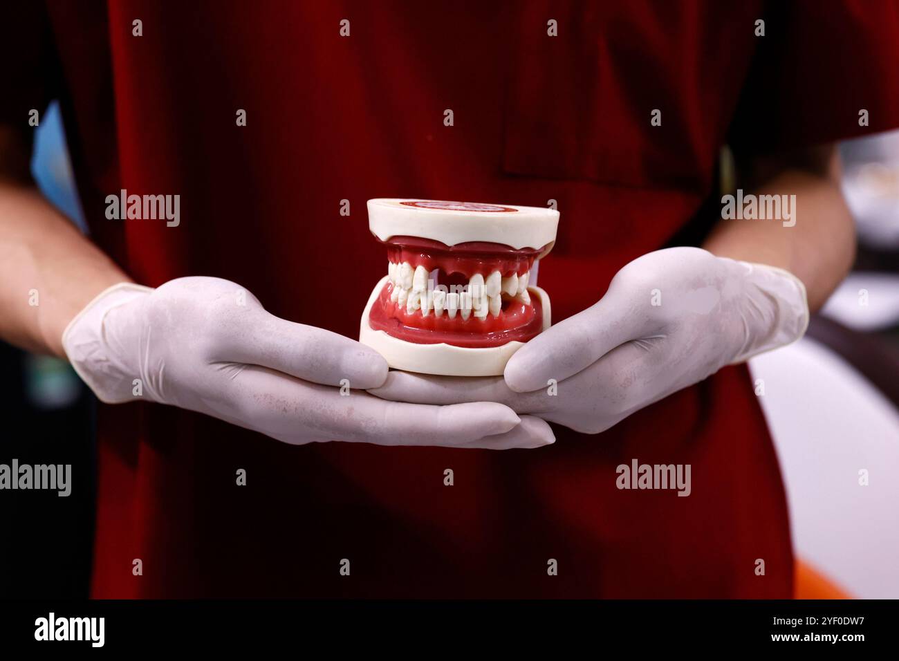 Ortodontista. Protesi dentale, dente artificiale, protesi, mani che lavorano sulla dentatura. Foto Stock