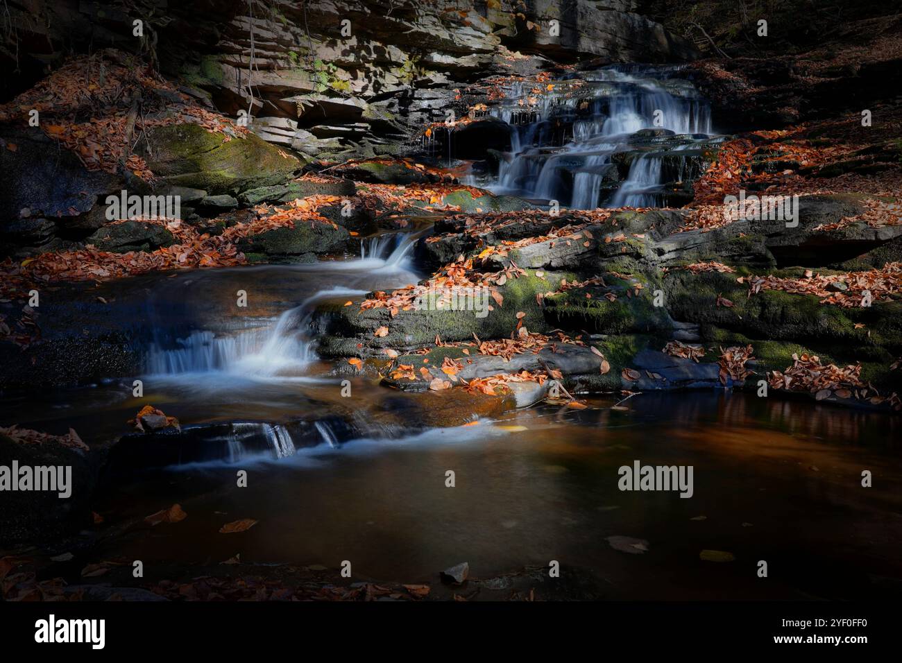 Acqua a cascata e foglie autunnali nel Ricketts Glen State Park Foto Stock