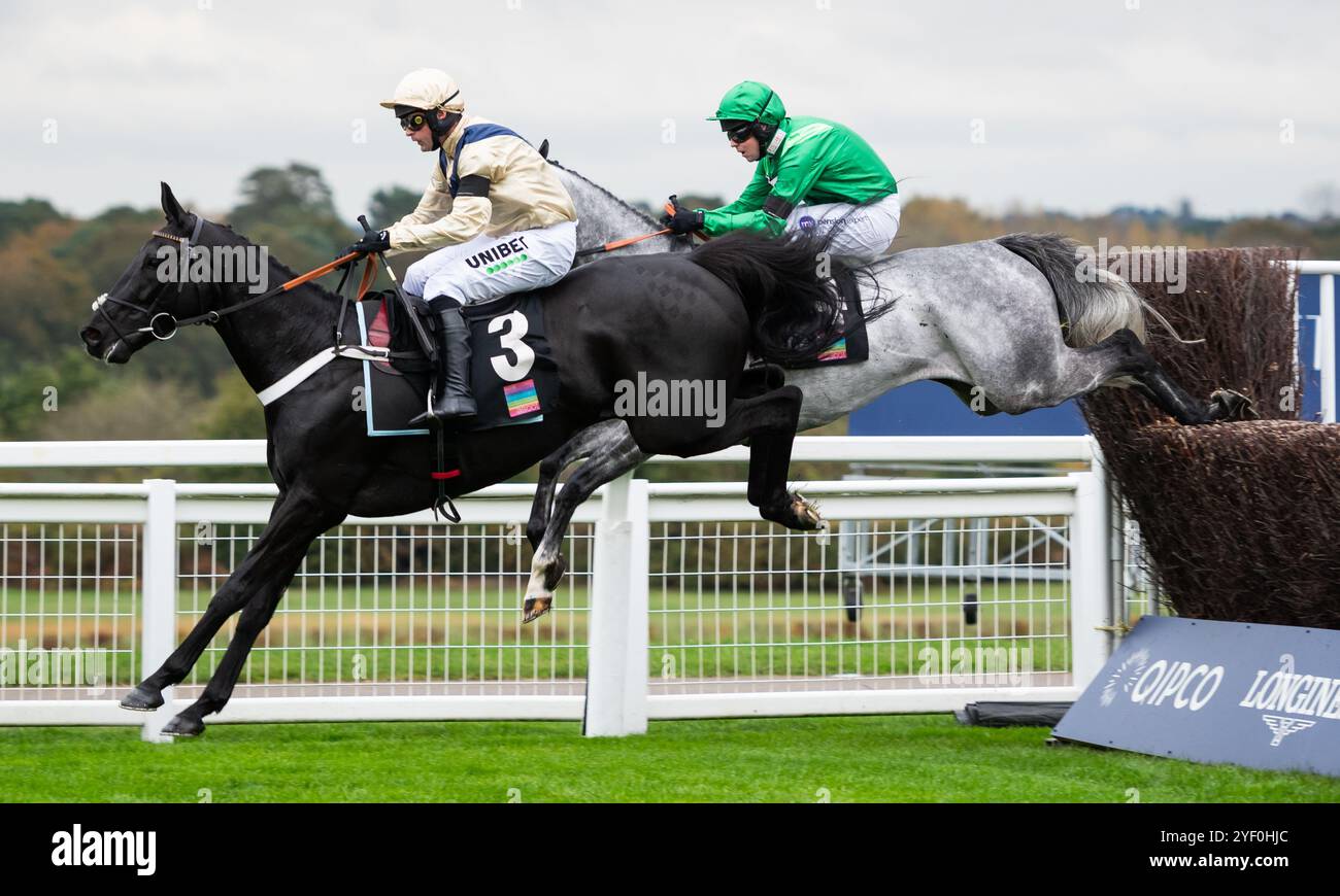 Ascot, Regno Unito, sabato 2 novembre 2024; Bhaloo e il fantino Nico de Boinville vincono l'Ascot Underwriting Novices' Limited handicap Steeplechase per l'allenatore Nicky Henderson e il proprietario Dash Grange Stud Crediti JTW equine Images / Alamy Live News. Foto Stock