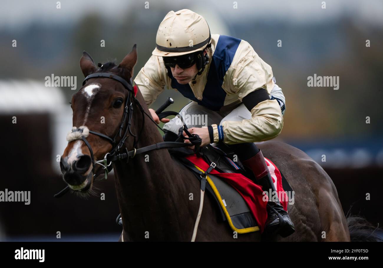 Ascot, Regno Unito, sabato 2 novembre 2024; Clap of Thunder e il fantino Sam Twiston-Davies vincono l'ostacolo di GL Events Novices per l'allenatore Nigel Twiston-Davies e il proprietario Dash Grange Stud Crediti JTW equine Images / Alamy Live News. Foto Stock