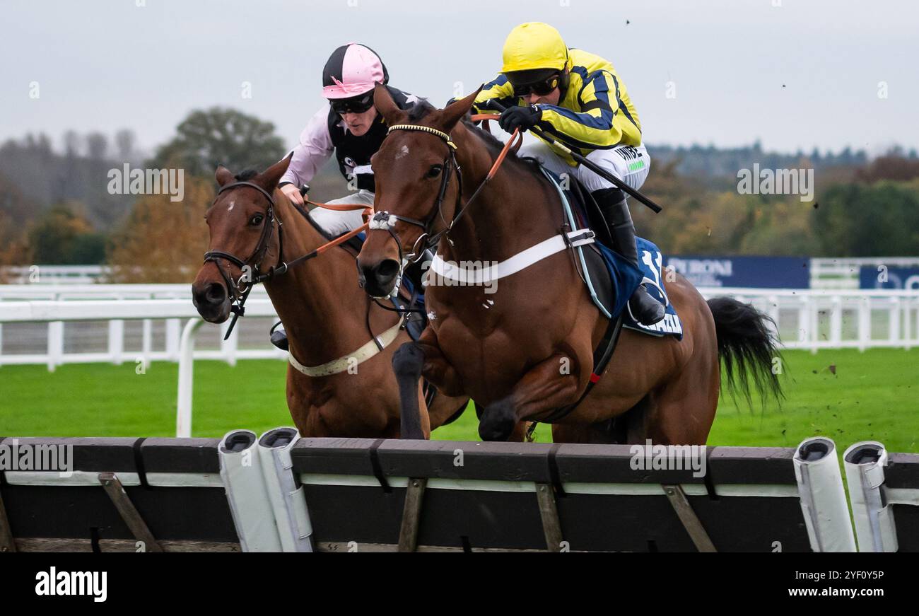 Ascot, Regno Unito, sabato 2 novembre 2024; il nostro campione e fantino Freddie Gordon hanno vinto l'ostacolo Lavazza handicap per l'allenatore Chris Gordon e i proprietari Pearson, Jenner, Hawkings, Dunford & Harding. Crediti JTW equine Images / Alamy Live News. Foto Stock