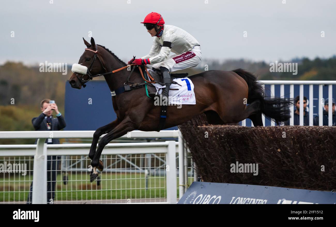 Ascot, Regno Unito, sabato 2 novembre 2024; Chianti Classico e il fantino Tom Bellamy vincono la gara caratteristica del giorno, il Sodexo Live! Gold Cup handicap Steeple Chase (Premier handicap) per l'allenatore Kim Bailey e i proprietari Sir Francis Brooke e Mr R. A. Pilkington. Crediti JTW equine Images / Alamy Live News. Foto Stock