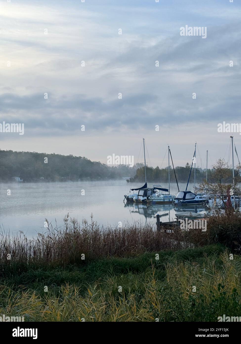 Le barche giacciono nella nebbia mattutina sul lago Kahnsdorf Foto Stock
