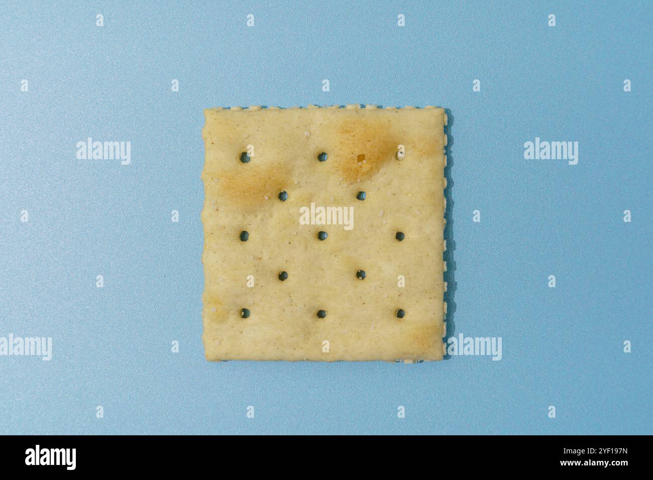 Un singolo cracker saltino quadrato, con superficie ruvida e piccoli fori, su sfondo blu. Foto Stock