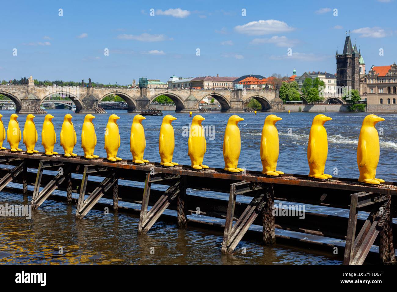 L'installazione dei pinguini gialli creata dal cracking Art Group, situata lungo il fiume Moldava vicino al parco Kampa a Praga, Repubblica Ceca. Foto Stock