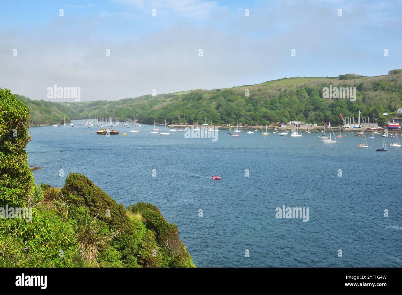 Vista dell'estuario Fowey, Cornovaglia, affacciata sul fiume Fowey. Foto Stock