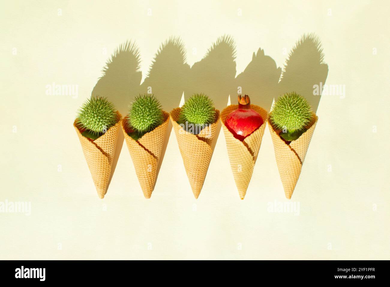 Frutta Datura e melograno in un cono gelato alla luce del sole. Minimalismo piatto Foto Stock