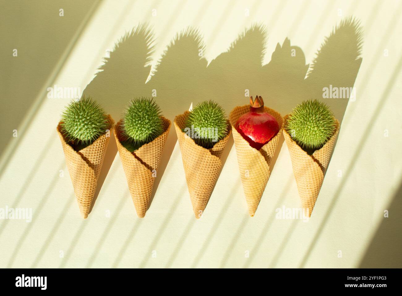 Frutta Datura e melograno in un cono gelato alla luce del sole. Minimalismo piatto Foto Stock