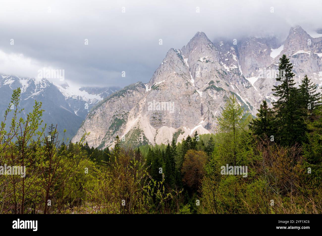 Montagna sopra una linea di alberi Foto Stock