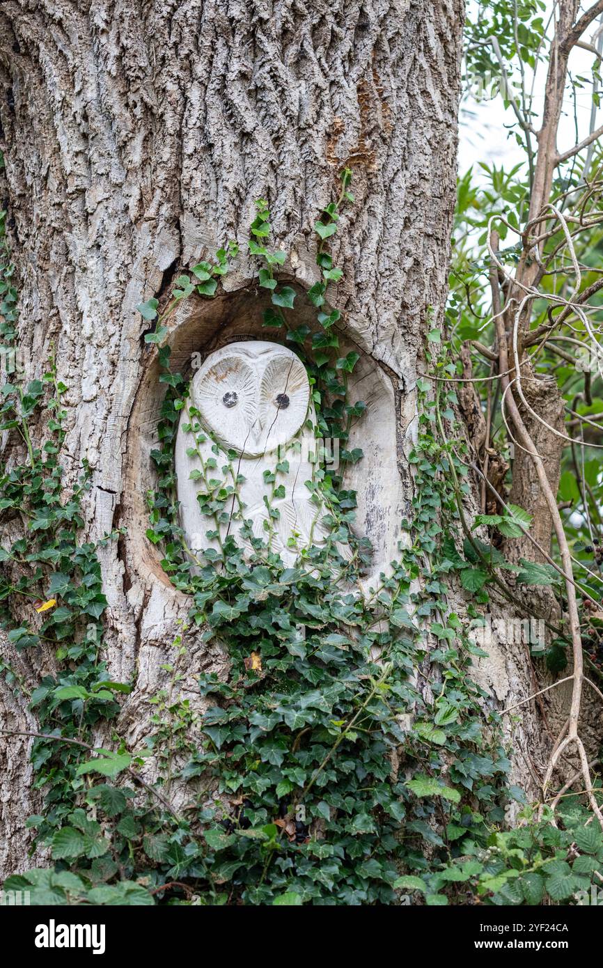 Gufo scolpito in un albero nella riserva di Leighton Moss RSPB, Lancashire, Inghilterra, Regno Unito Foto Stock