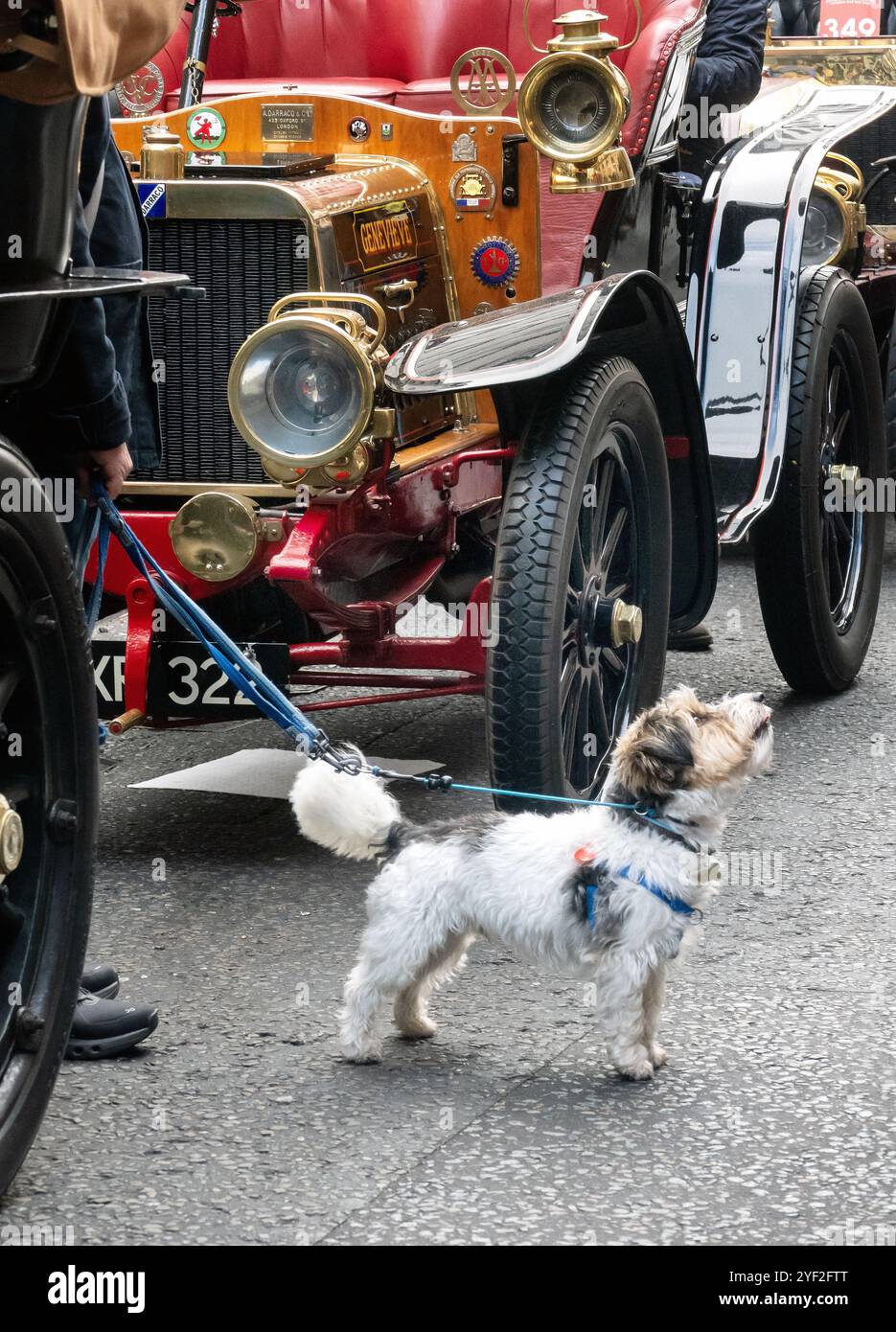 2024 St James, spettacolo automobilistico a Pall Mall Londra, Regno Unito Foto Stock
