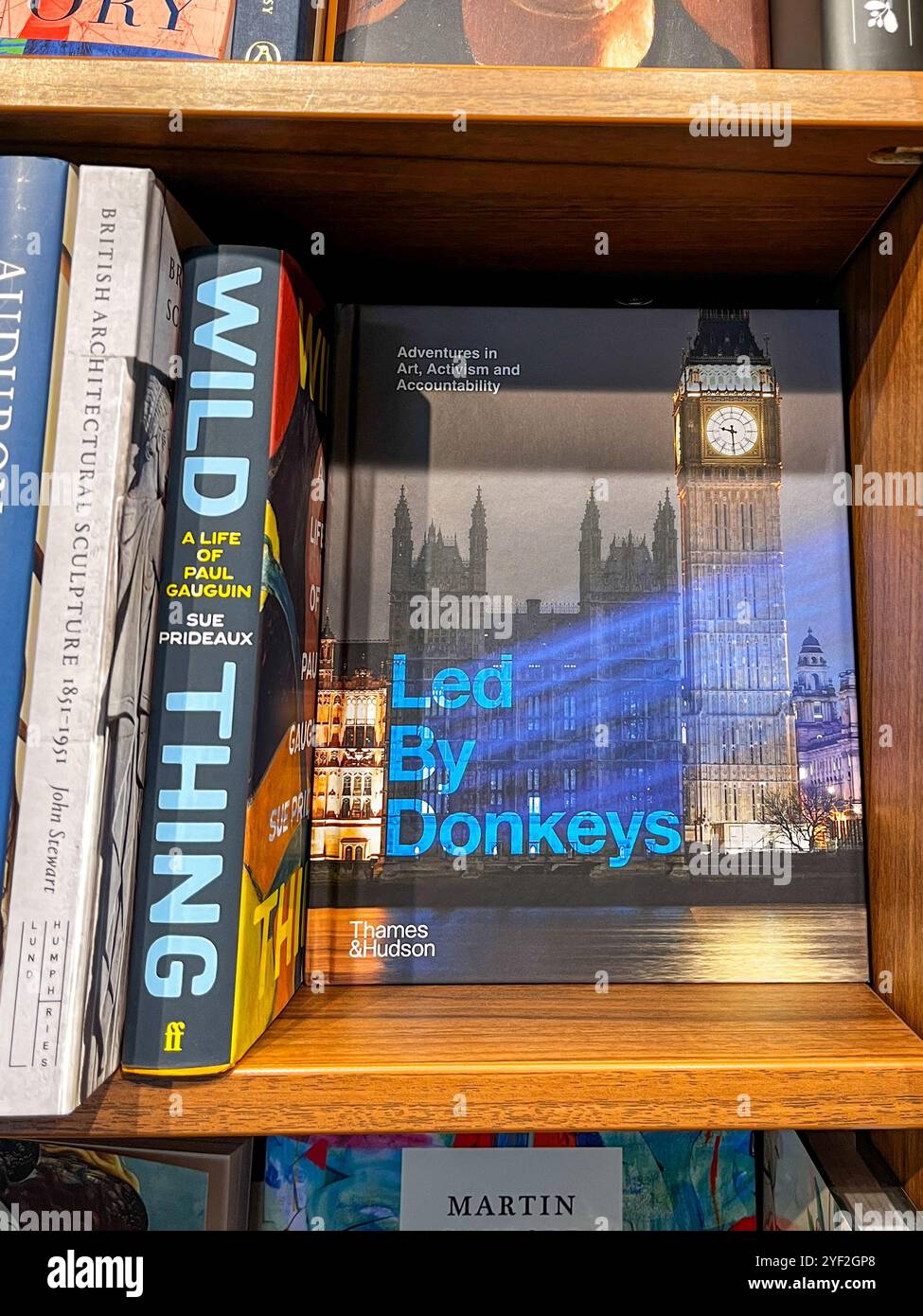 Guida di Donkeys campagna politica britannica libro di gruppo in vendita nella libreria del regno unito Foto Stock