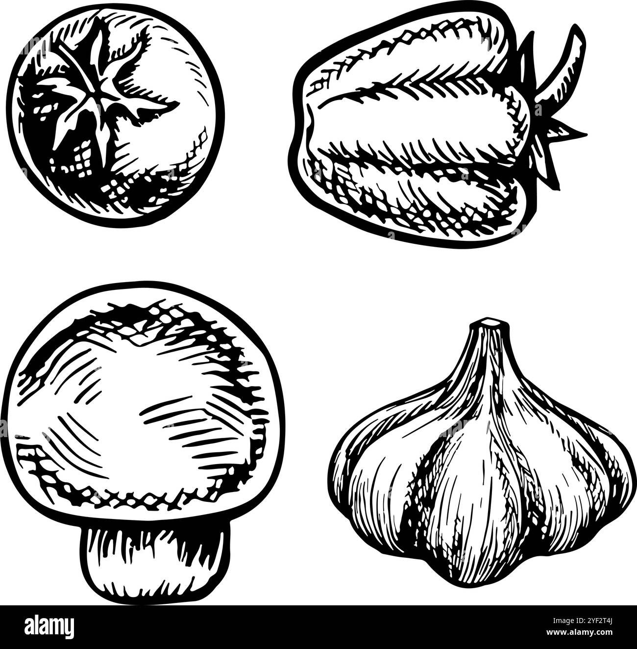 Un set di verdure, peperoni, pomodori e aglio. Grafica vettoriale. Illustrazione in bianco e nero disegnata a mano. Su sfondo bianco. Per i menu, poster Illustrazione Vettoriale Un set di verdure, peperoni, pomodori e aglio. Grafica vettoriale. Illustrazione in bianco e nero disegnata a mano. Su sfondo bianco. Per i menu, poster Illustrazione Vettoriale