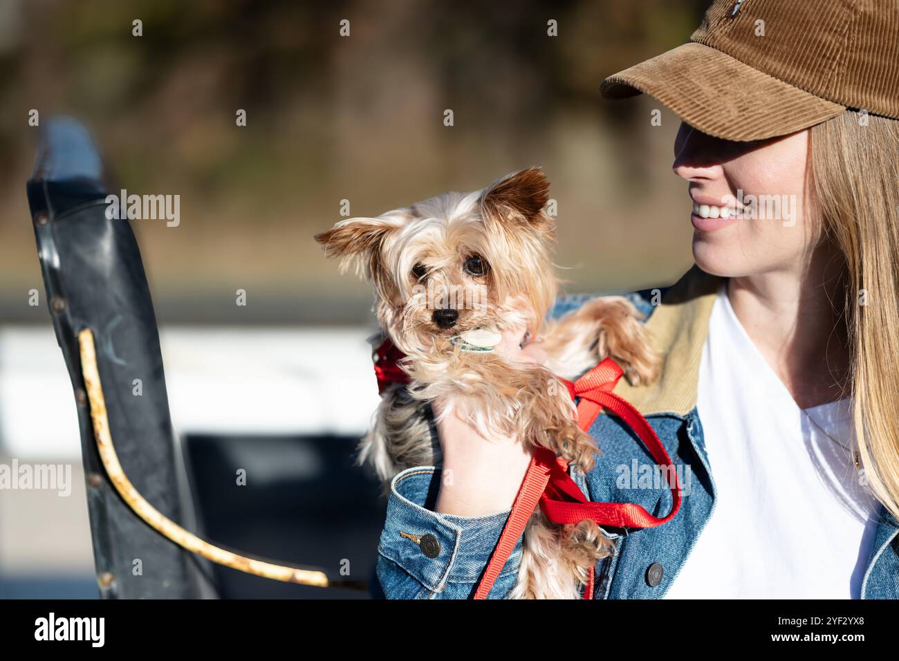I cani sembrano i loro proprietari, vero> Foto Stock