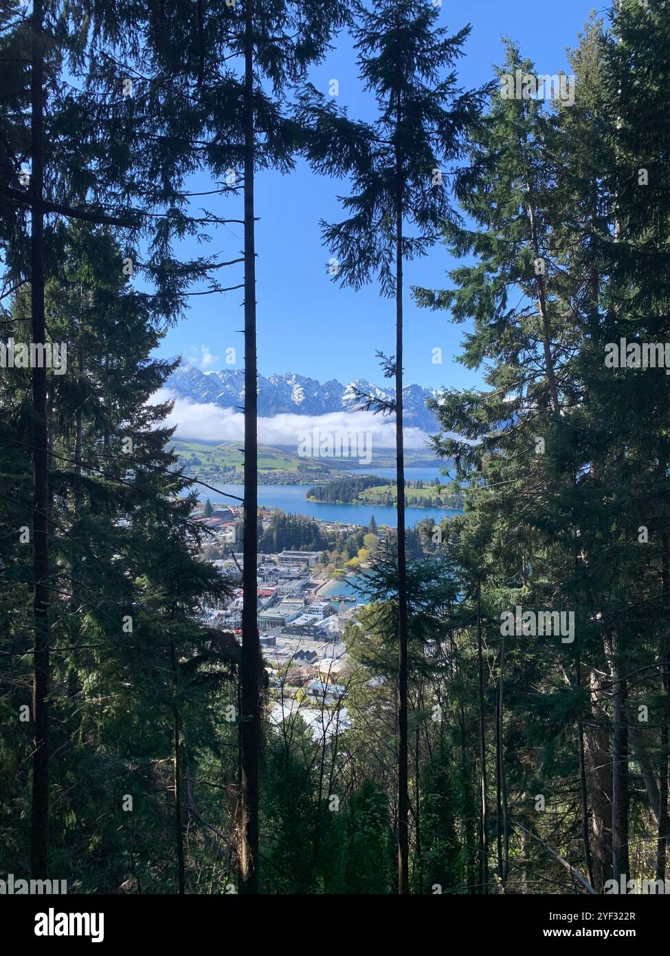 Montagne innevate che sbirciano tra alberi a forma di cuore. - Immagine stock catturata con smartphone