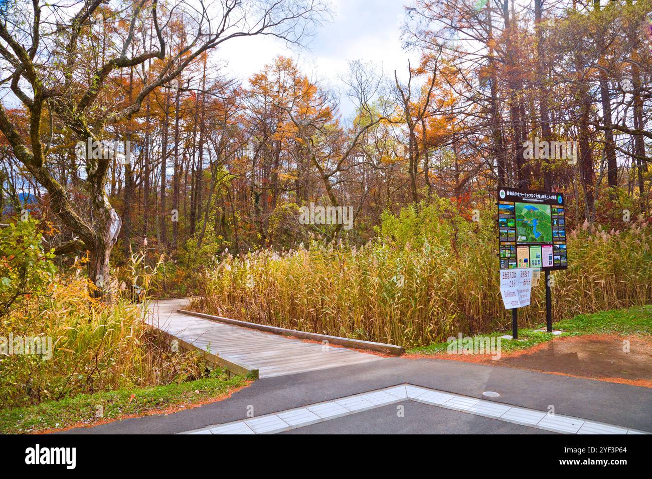 Il sentiero naturalistico di Goshikinuma nel profondo della prefettura di Fukushima, Tohoku, Giappone. Foto Stock