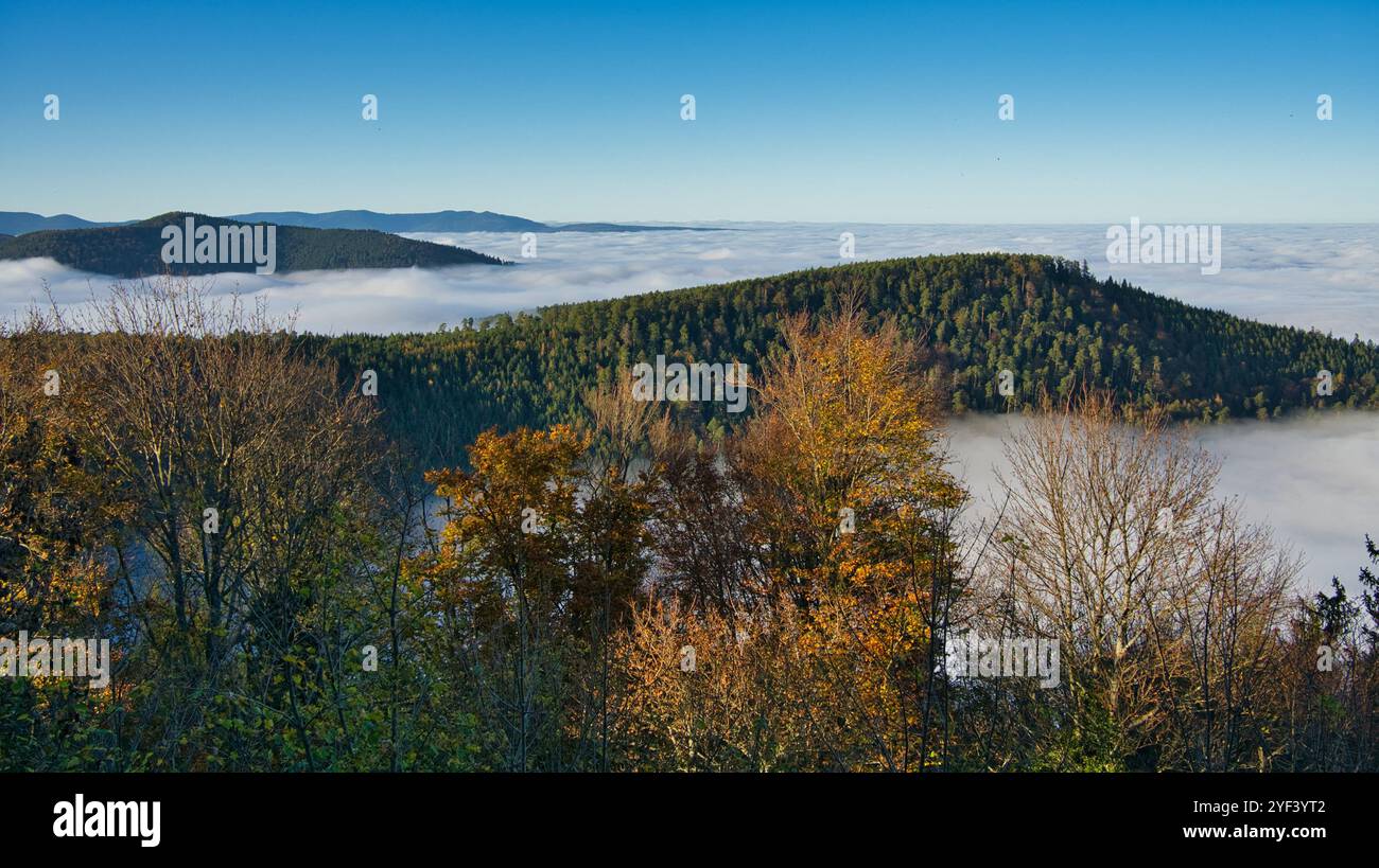 Nebbia nelle valli dei Vosgi in Francia Foto Stock