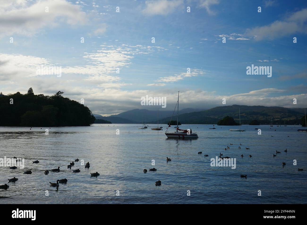 Ammira il lago Windermere nel Lake District durante una serata estiva con anatre e barche in primo piano Foto Stock