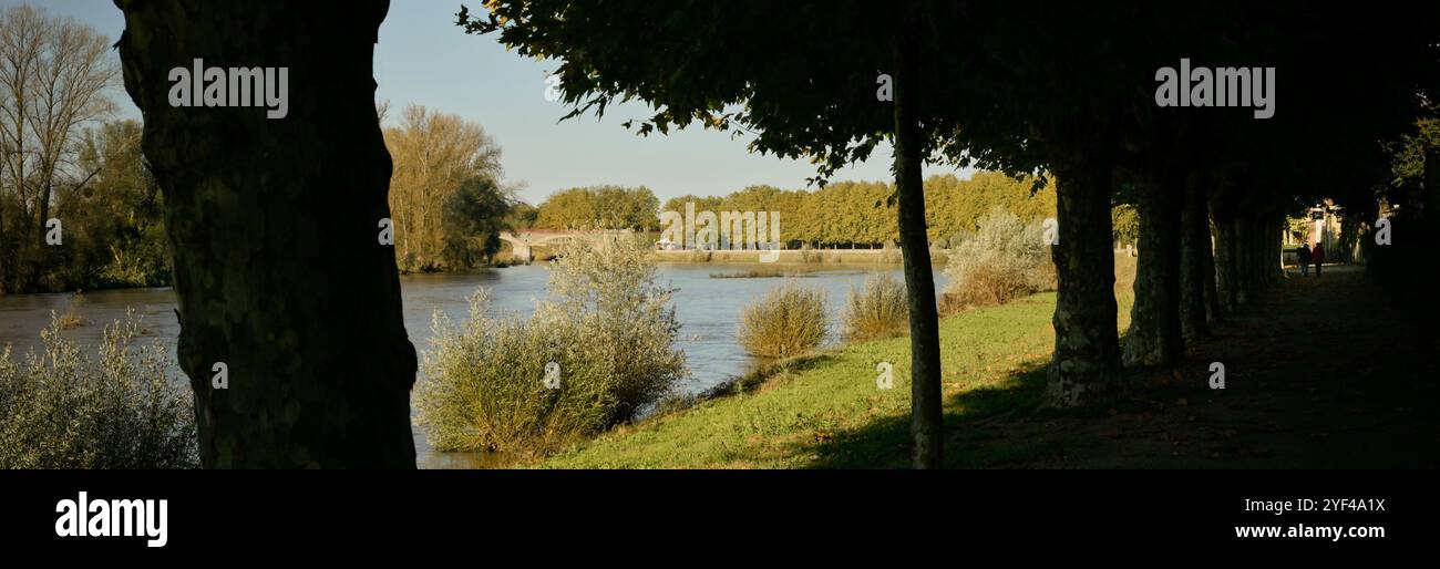 La sagoma dei platani all'ombra lungo il fiume Loira, forma striscione Foto Stock