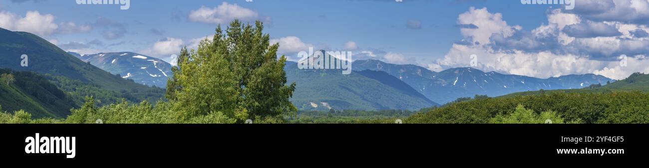 Vista panoramica del bellissimo paesaggio montano estivo e della verde foresta sulle colline con il tempo soleggiato con il cielo blu e le nuvole bianche. Titolo, estate Foto Stock