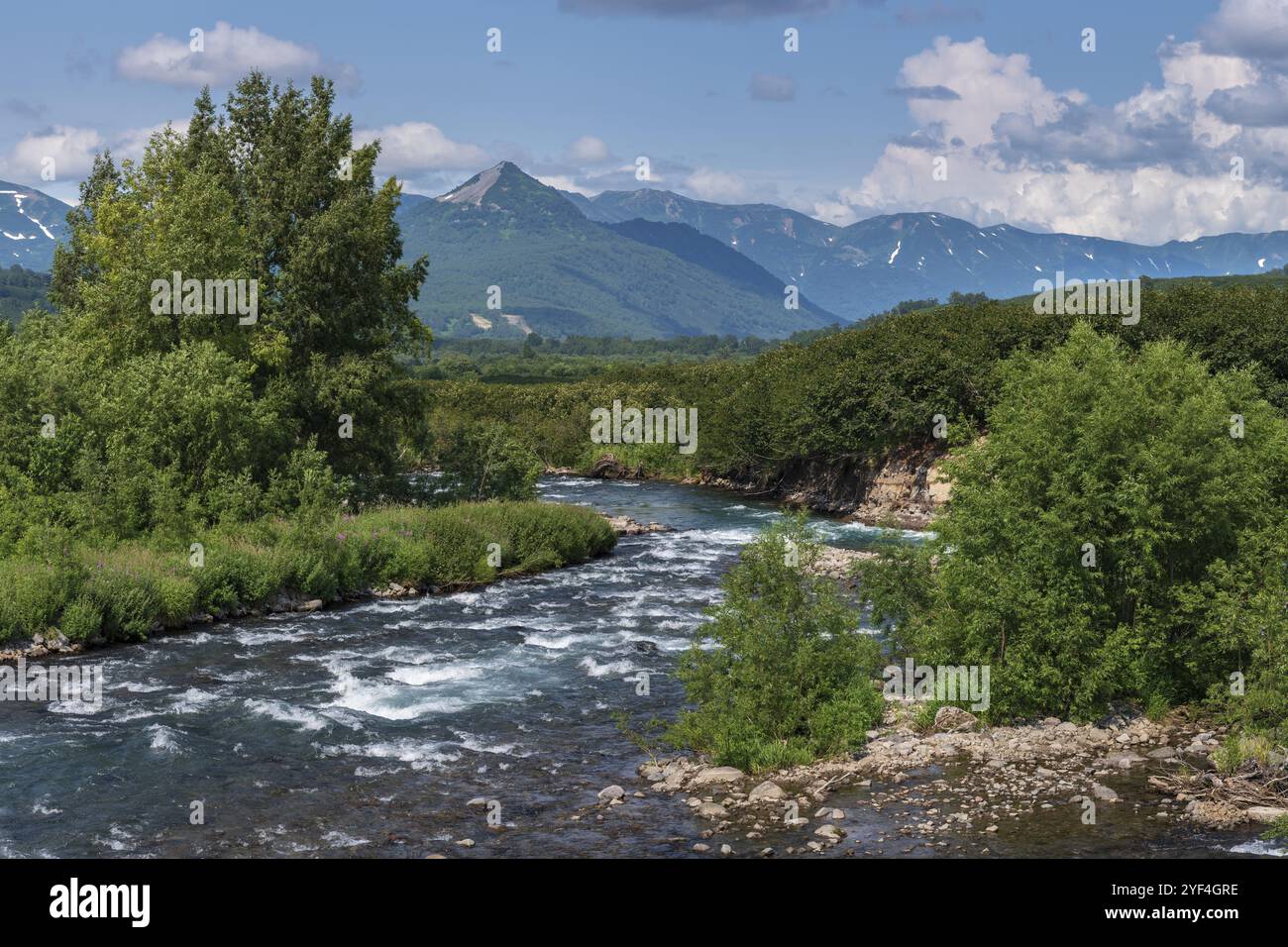 Incredibile panorama estate paesaggio della penisola di Kamchatka: vista del flusso acqua chiara di montagna fiume Paratunca e foresta verde sulle colline lungo rive Foto Stock