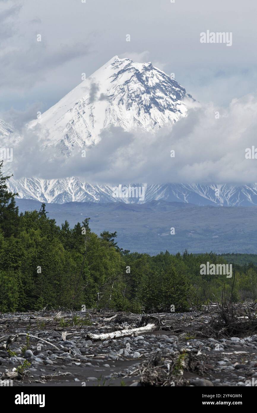 Paesaggio montano: Splendida vista estiva del cono roccioso innevato del vulcano Kamen in giornata nuvolosa e foresta verde ai piedi del monte. Klyuchev Foto Stock