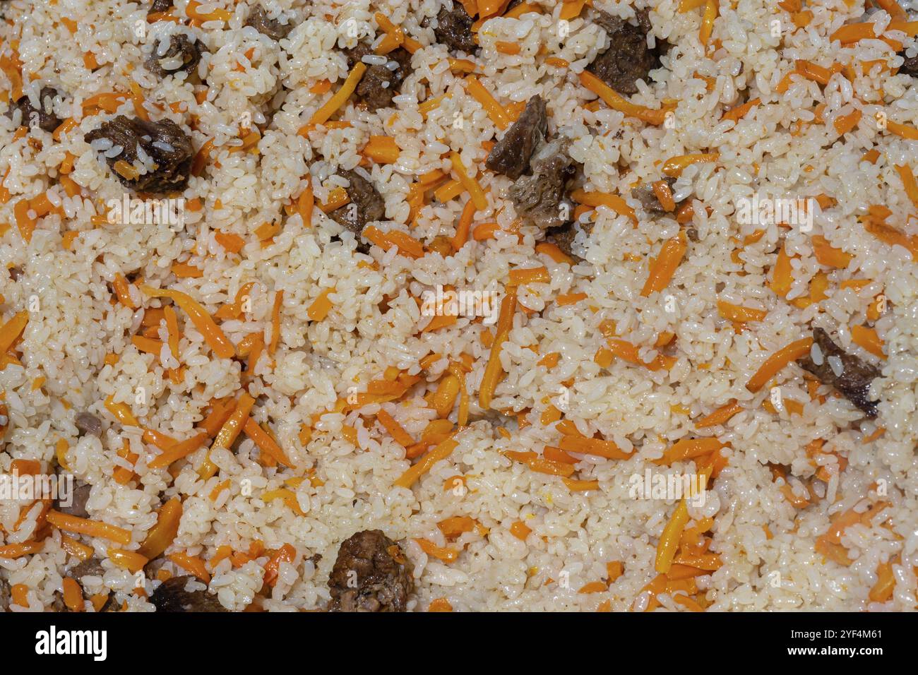 Vista ravvicinata dello sfondo orientale del cibo gustoso. Piatto tradizionale asiatico, pilaf. Ingredienti: Riso con fette di carne, grasso e verdure (auto Foto Stock