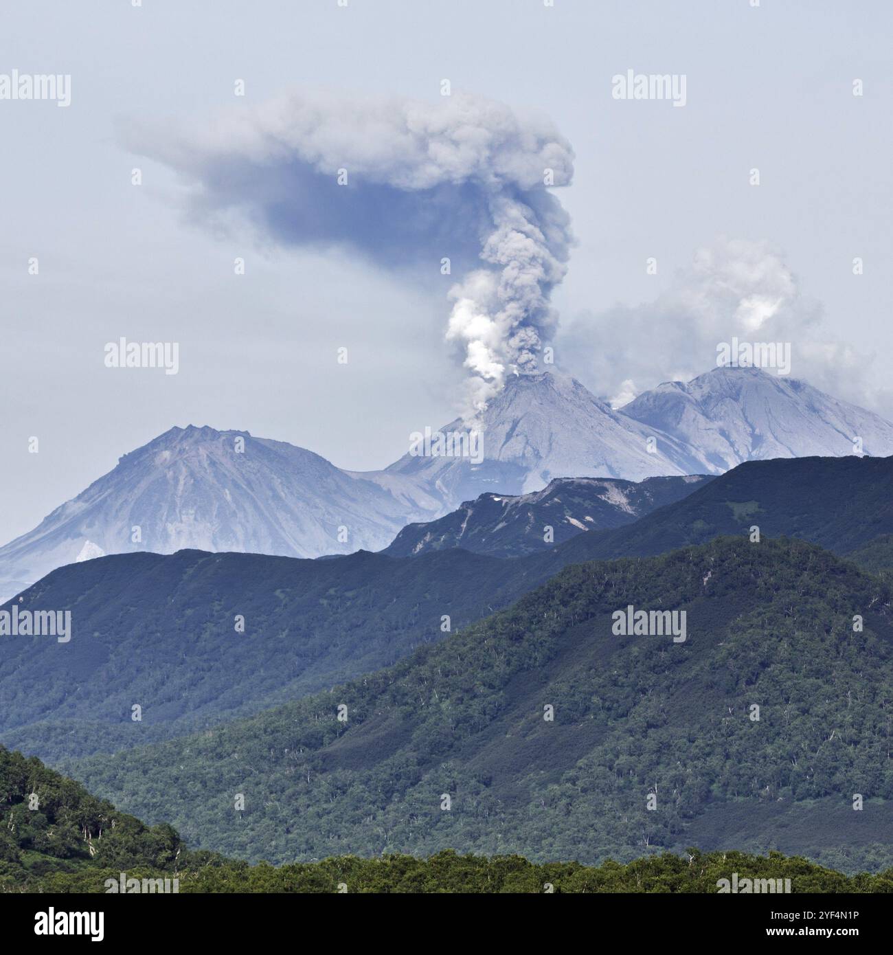 Paesaggio montano estivo della penisola di Kamchatka: Vista dell'eruzione esplosiva ed effusiva del vulcano Zhupanovsky potente pennacchio di gas, vapore, cenere Foto Stock