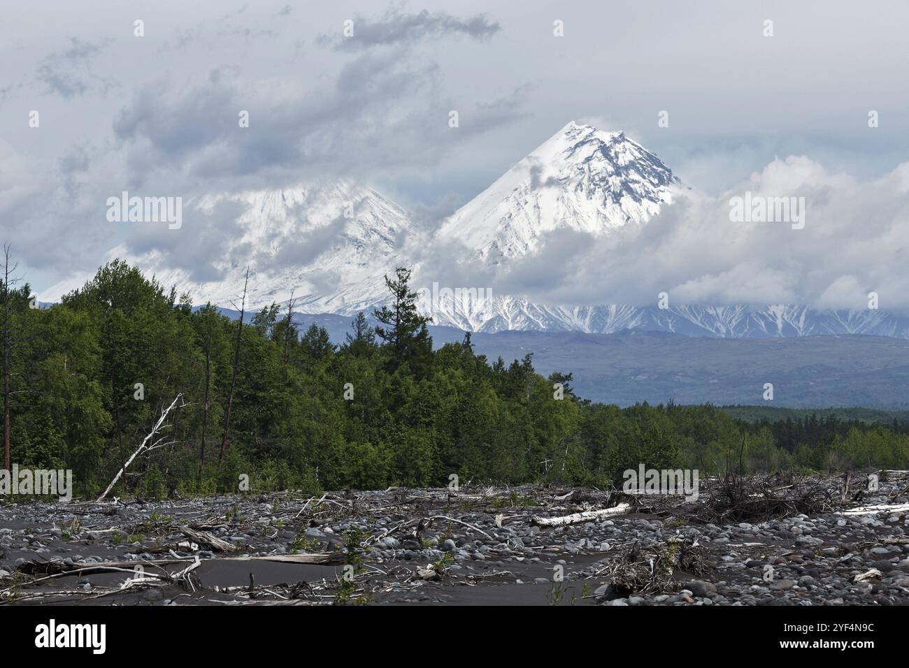 Splendida vista estiva sul vulcano Klyuchevskoy (tra le nuvole) e sul vulcano Kamen in una giornata nuvolosa. Eurasia, Russia, Estremo Oriente, penisola di Kamchatka, Euro Foto Stock