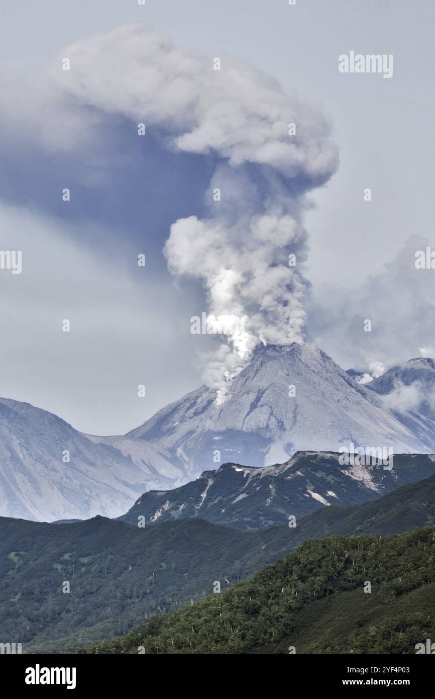 Paesaggio montano estivo della penisola di Kamchatka: Vista dell'eruzione esplosiva ed effusiva del vulcano Zhupanovsky potente pennacchio di gas, vapore, cenere Foto Stock