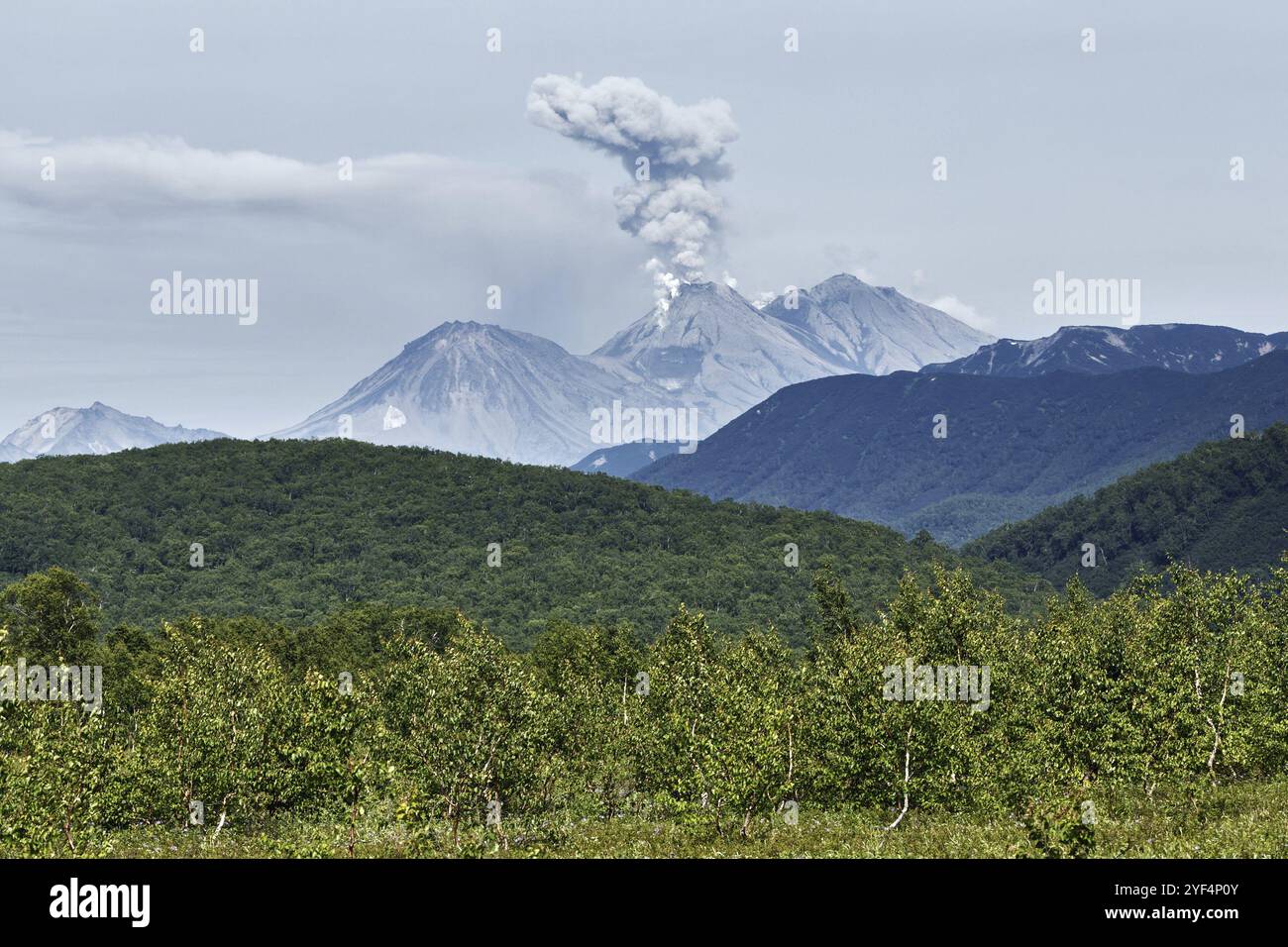 Splendido paesaggio vulcanico estivo della penisola di Kamchatka: Vista dell'eruzione esplosiva ed effusiva del vulcano Zhupanovsky potente pennacchio di gas, vapore, A. Foto Stock