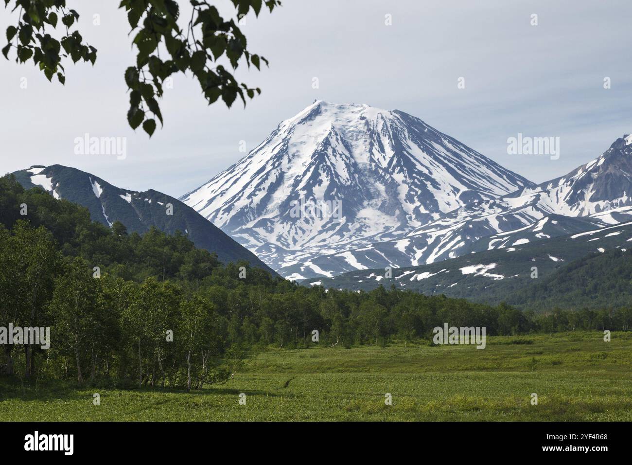 Splendida vista estiva del vulcano Koryaksky, del vulcano attivo della penisola di Kamchatka, delle montagne e della foresta verde. Eurasia, Russia, Estremo Oriente, Europa Foto Stock