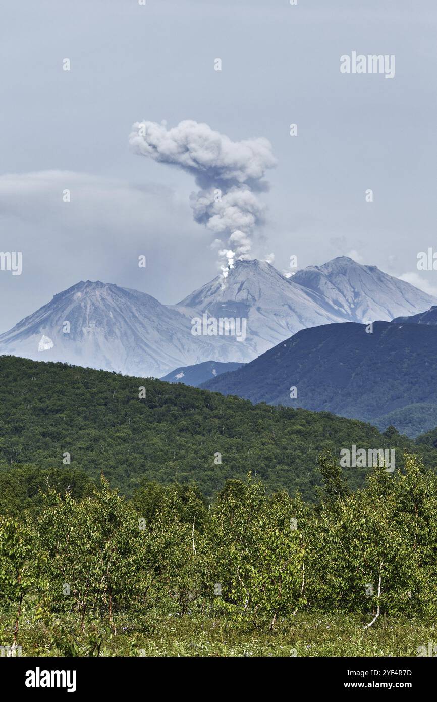 Splendido paesaggio montano estivo della penisola di Kamchatka: Vulcano Zhupanovsky attivo eruzione, cenere plume vulcano, gas e vapore dal cratere. Eurasia Foto Stock