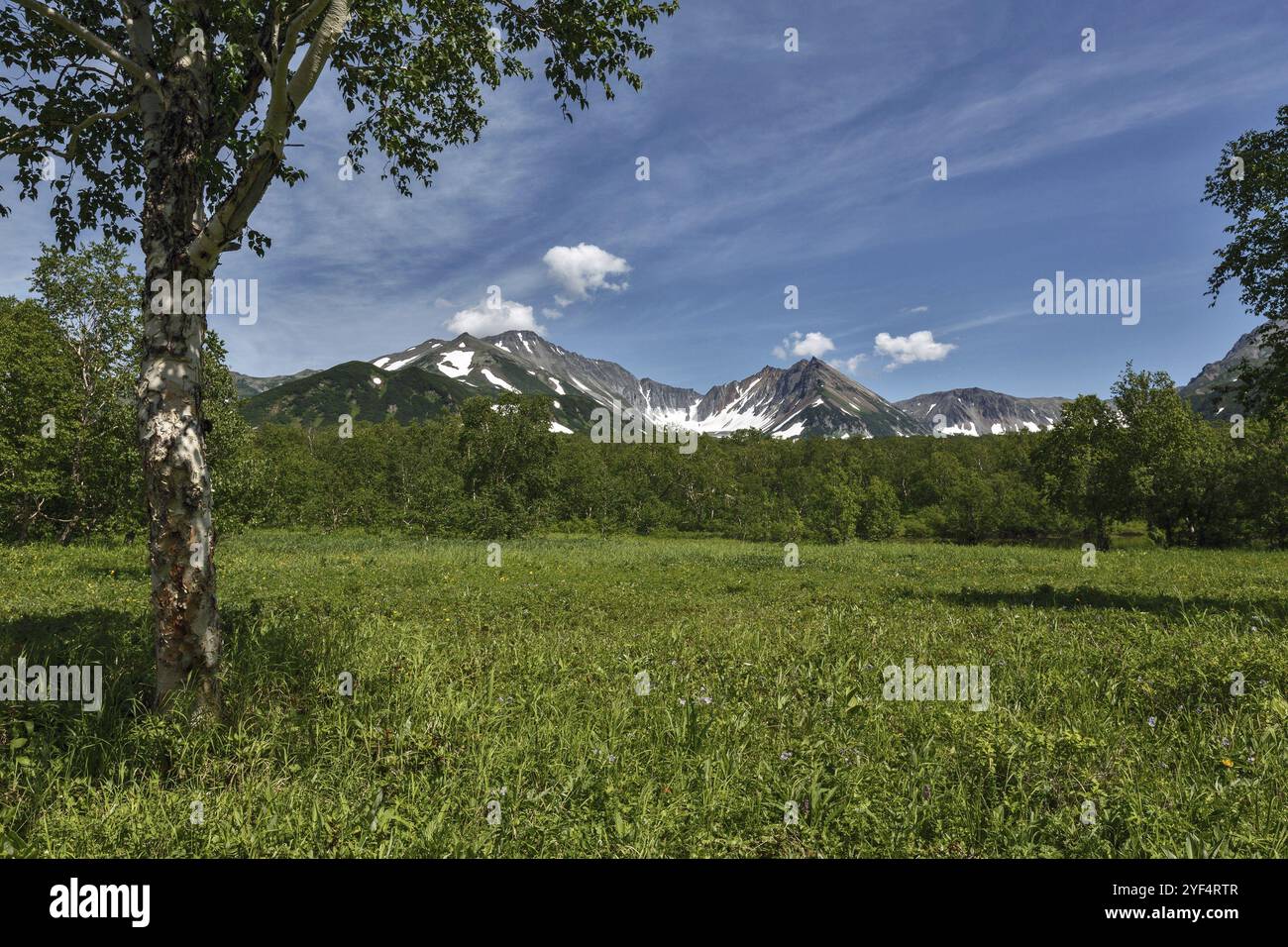 Natura della penisola di Kamchatka: Splendido paesaggio estivo con vista sulle montagne nelle giornate di sole. Estremo Oriente russo, penisola di Kamchatka Foto Stock
