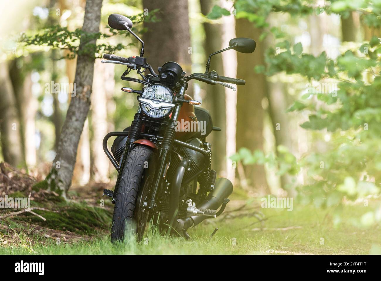 Eine Moto Guzzi steht in einem Wald, Baden Württemberg, Deutschland. Guzzi V7 850 *** Una Moto Guzzi in una foresta, Baden Württemberg, Germania Guzzi V7 850 Foto Stock