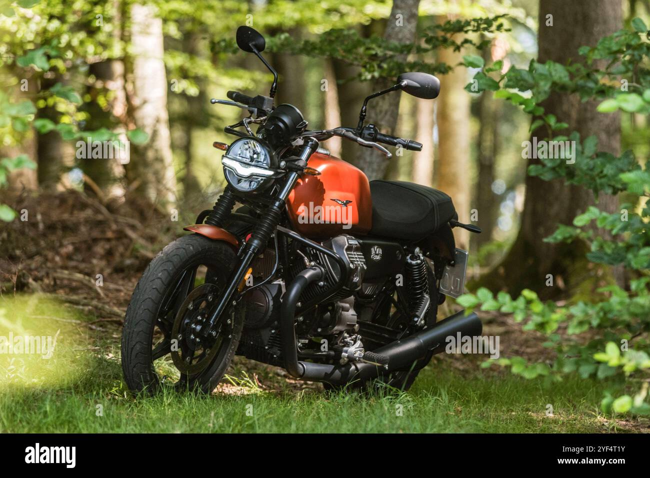 Eine Moto Guzzi steht in einem Wald, Baden Württemberg, Deutschland. Guzzi V7 850 *** Una Moto Guzzi in una foresta, Baden Württemberg, Germania Guzzi V7 850 Foto Stock